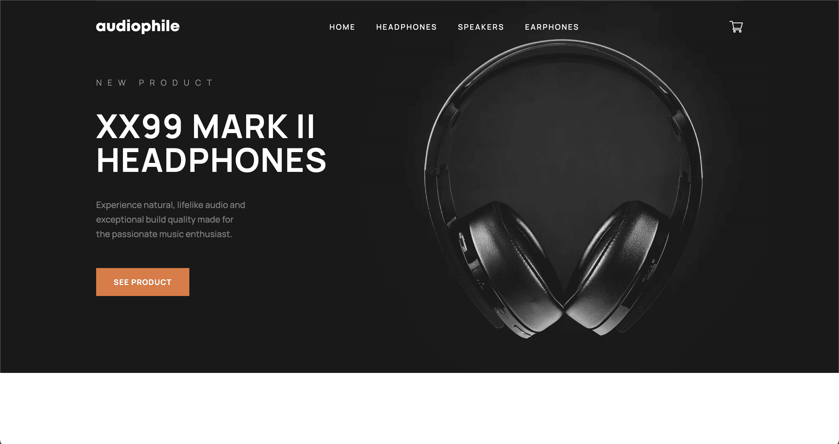 An image of the Audiophile site's landing page